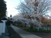 kiyomotȍ헤Ղ̓eʐ^3