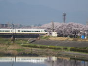 ҁ[񂳂̊C̍؂̓eʐ^7