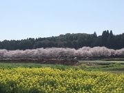 �܂�����̐��s���̍��̓��e�ʐ^1