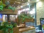 Happỹoo}[PbgvCX C^AH LF̓eʐ^1