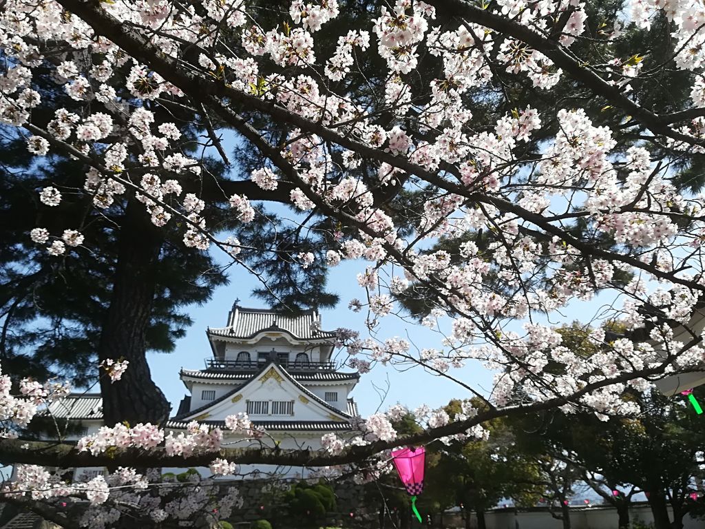 大阪 桜の名所選 おすすめスポットで桜を楽しもう 開花見頃予想も じゃらんニュース