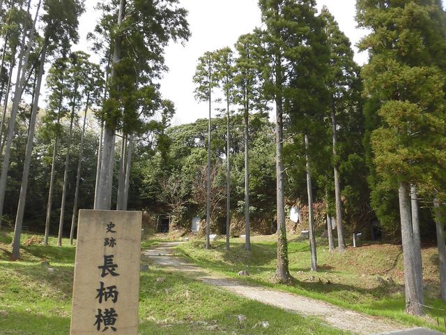 dai-neko̎jՒQ̓eʐ^1