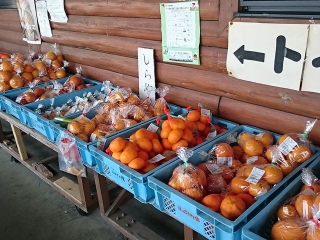 Oł݂̔_̉wؕ̂ӂ邳ƊٓY̔