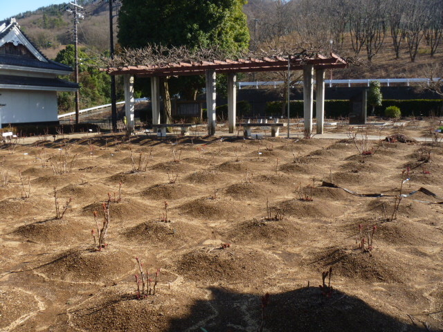 gV[̉̕ꕶڂ񉀂̓eʐ^1