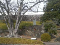 Ƃ񂳂̍b{@ΐ؏Ղւ̓eʐ^1