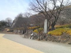 Ƃ񂳂̏c،̔ւ̓eʐ^2