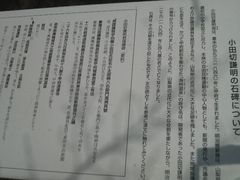 Ƃ񂳂̏c،̔ւ̓eʐ^3