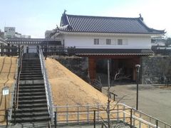 Ƃ񂳂̍b{sjւ̓eʐ^1