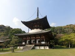 DoubleO7����̍��Ҏ��哃�ւ̓��e�ʐ^1