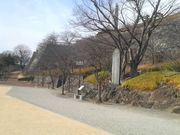 Ƃ񂳂̏c،̔̓eʐ^2