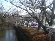 Ƃ񂳂̕c_Ђ̍̓eʐ^1