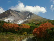 ɂǂ񂳂̑Rx[vEFC̓eʐ^1