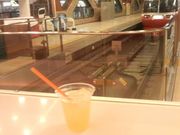 Ƃ񂳂̃}XJ[JtF̓eʐ^1