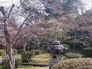 ܂܂̐k̃ccWE̓eʐ^1