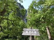 ɂǂ񂳂̋͂̑̓eʐ^1