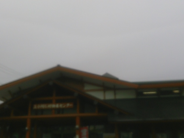 �H�c���Y�̖؍ނ��ӂ񂾂�Ɏg���Ă����ł��傤�B_���̉w ���݂�����