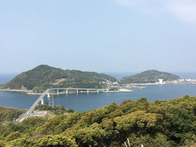 poporon����̍��đ��������̓��e�ʐ^2