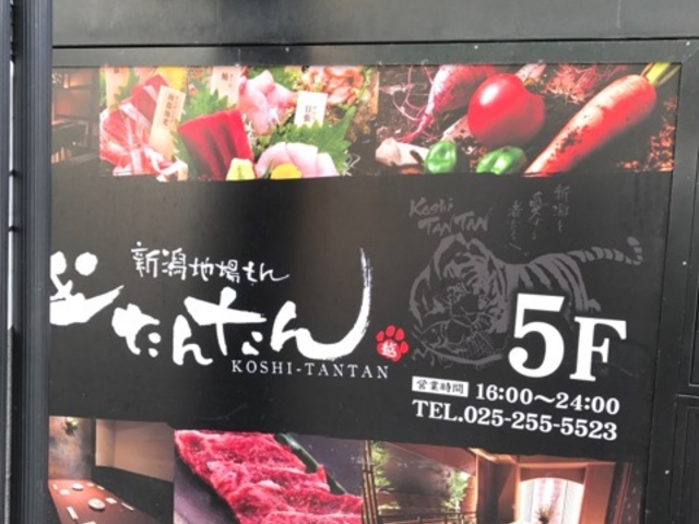 }X^[h̐Vn z񂽂 VwOX̓eʐ^1