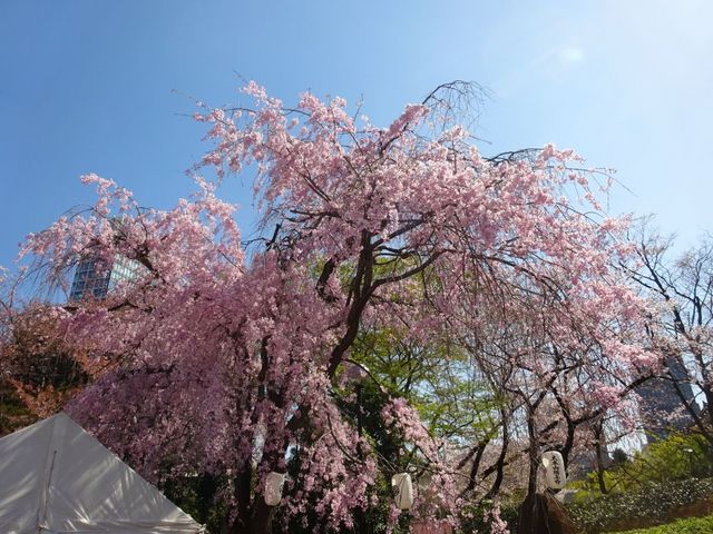 �Ō����y�ё��㎛�����̍�_�Ō����y�ё��㎛�����̍�