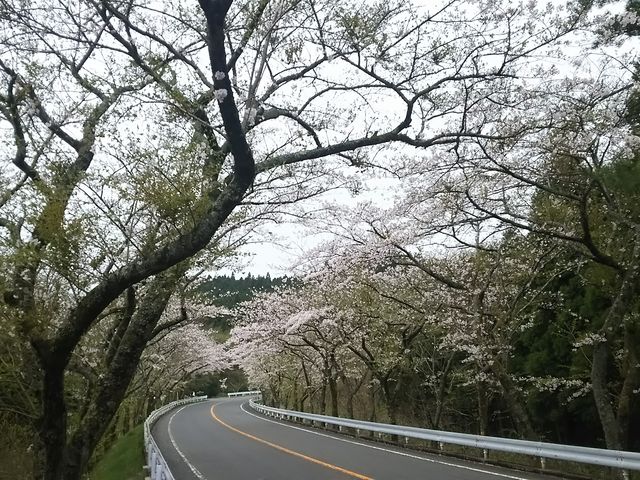 �����؂͏����ł��B_�A�l�X�g��c�@�^�[���p�C�N����