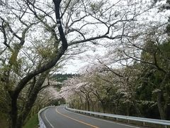 ݂Ԃ̃AlXgc@^[pCNւ̓eʐ^1