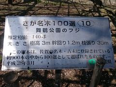 スヌ夫さんの舞鶴公園の藤への投稿写真1