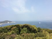 poporon����̍��đ��������̓��e�ʐ^4