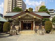 pon񂳂̓VczK_Ђ̓eʐ^1