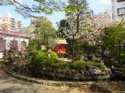 pon񂳂̓VczK_Ђ̓eʐ^2