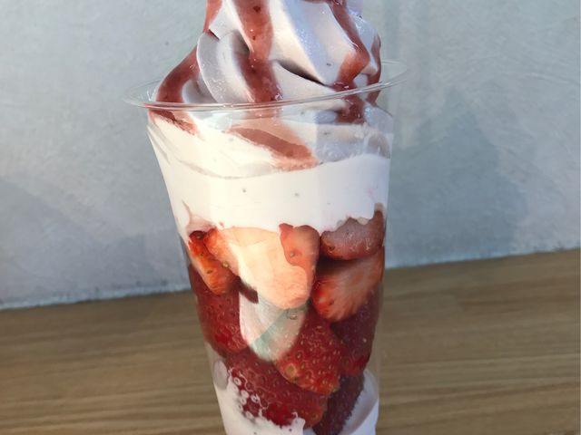 C`S\tĝptF__Ƃ̒@Riy