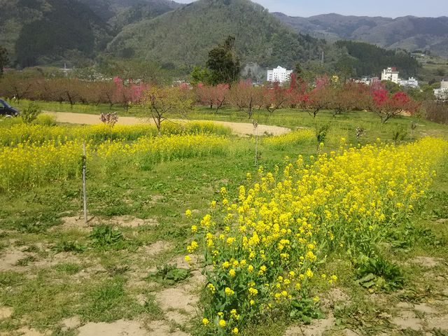 Ԃ̗AΖʉʐ^B_э≷Ԃ̗