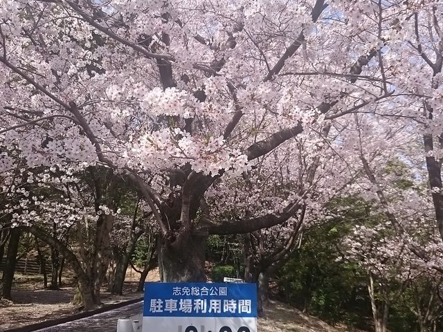 񂿂񂳂̎uƑ̓eʐ^1