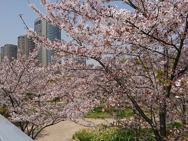 ��_�єn���V�{����