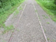 ߂̂₳̃Avg̓ւ̓eʐ^1