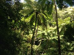 Ƃ܂Ƃ܂̊όlbg[Nւ̓eʐ^1