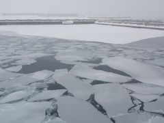 ܂B̗XӕXD KRUւ̓eʐ^1