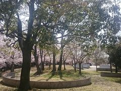 񂿂񂳂̓i̐Xjւ̓eʐ^1