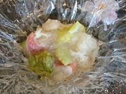 Ƃ邳̒YčH[ s̓eʐ^2