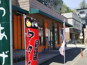 ZC̔nǂsE@ {X̓eʐ^1