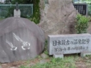 ߂̂₳̓{}[N˂̔̓eʐ^1