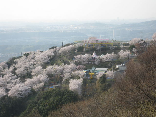 ���J�̍�_�{���Y�R��V��