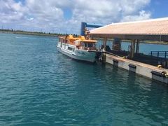 ���i����̐Ί_���h���[���ό��ւ̓��e�ʐ^1