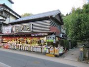 �g�����\����̍]�ˋv�̓��e�ʐ^1