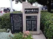 �x����̃J�����̐�������̔�̓��e�ʐ^1