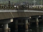 poporon̉FO̊Ԃ̓eʐ^1