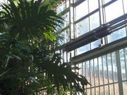 ܂ǂ̎ssϏܐA̓eʐ^1