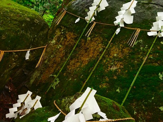 ���Ƃ��_�X����_�{��_��