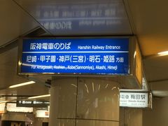 ~N̍_dCS~cwւ̓eʐ^1