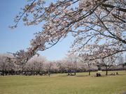 micky7777̒̍؂̓eʐ^4