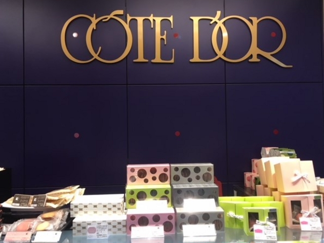 }JrXLCł_َq R[gh[ vUPOXX